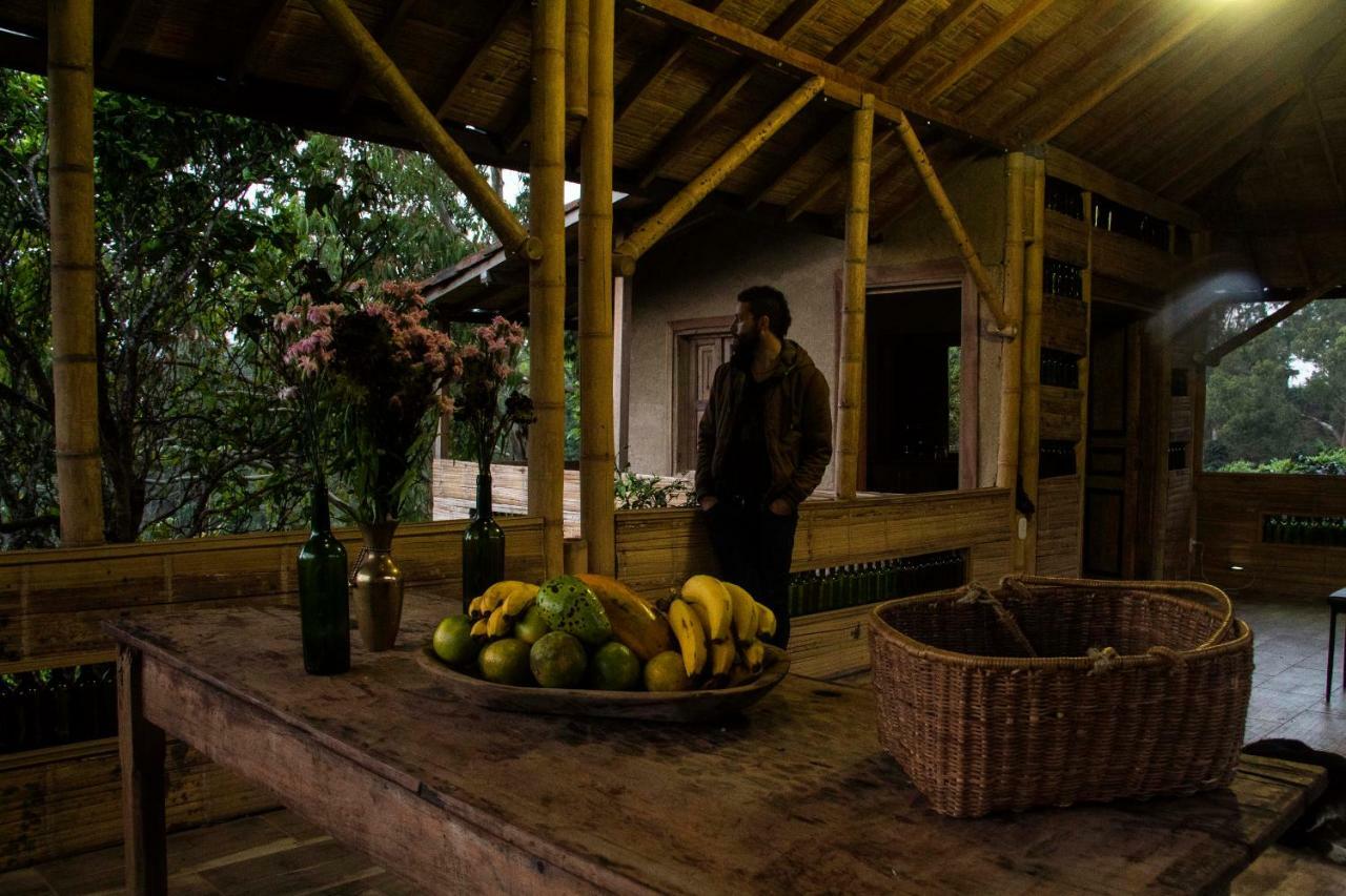 Eco Hotel El Columpio Salento Bagian luar foto